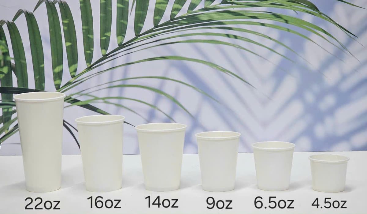 Sản phẩm in ấn VNPIS 12